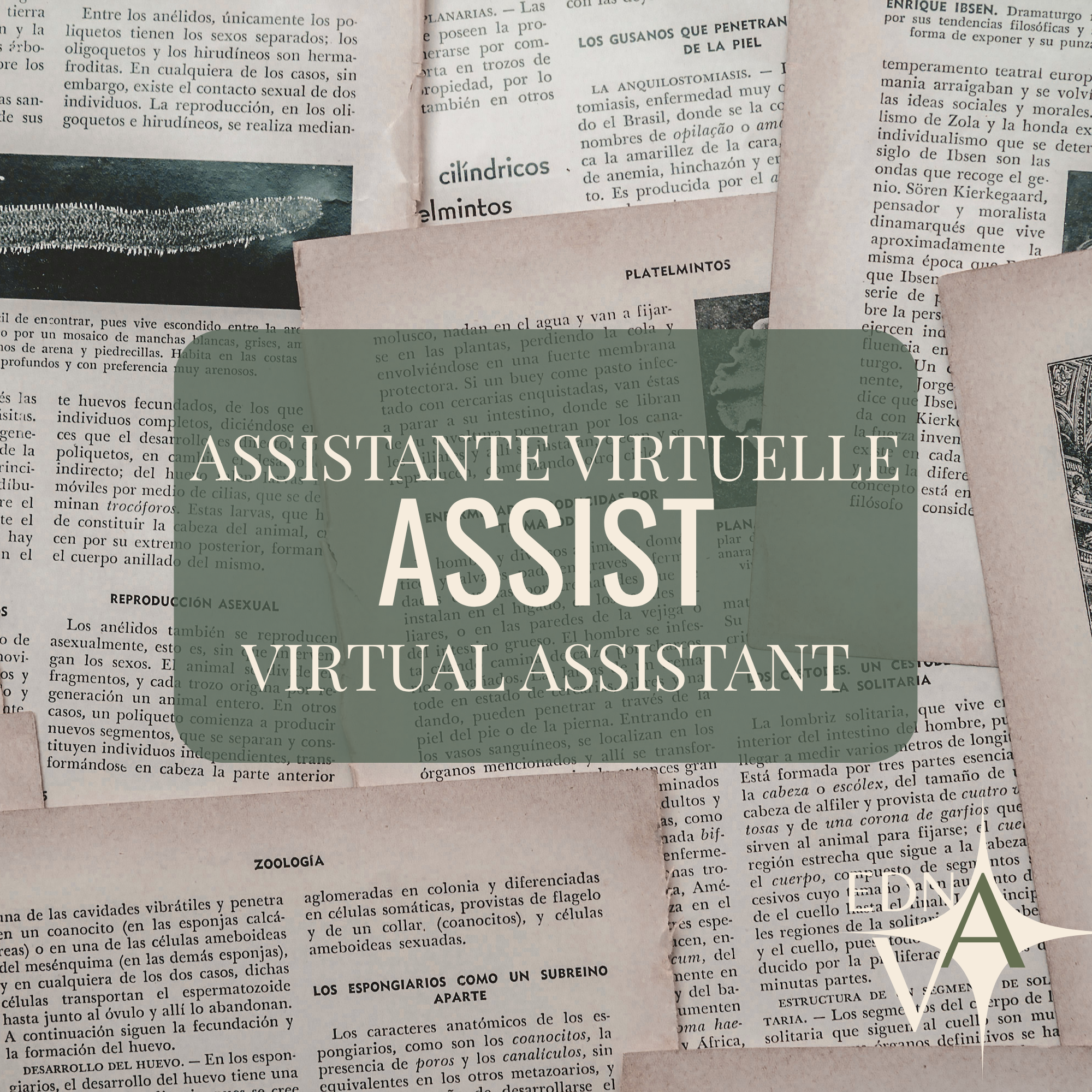 Assistante Virtuelle - Assist